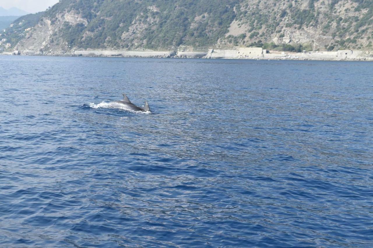 Tavernetta 109 Terrazza Tra Le 5 Terre E Portofino دييفا مارينا المظهر الخارجي الصورة