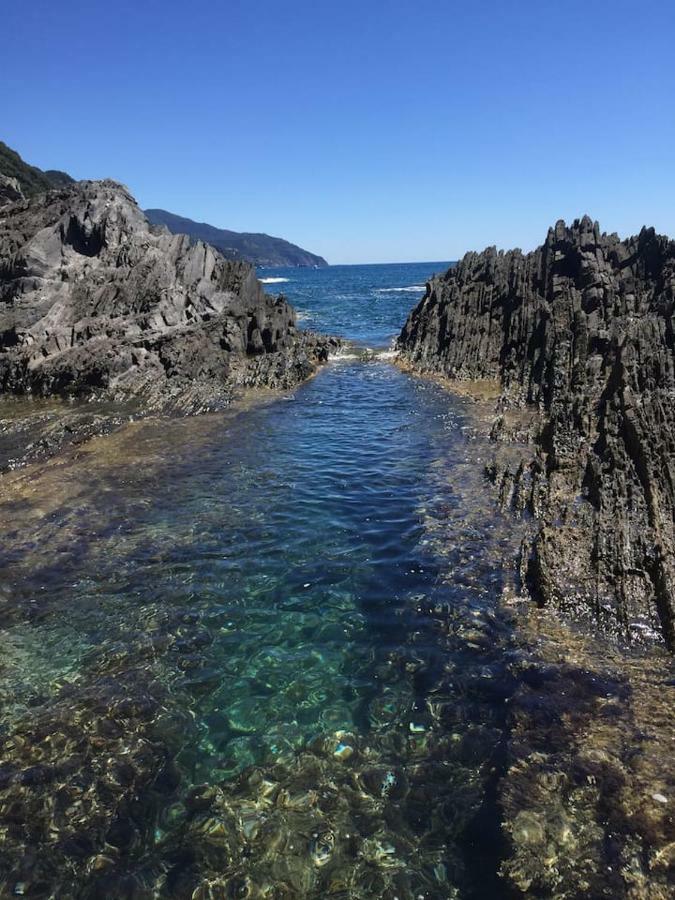 Tavernetta 109 Terrazza Tra Le 5 Terre E Portofino دييفا مارينا المظهر الخارجي الصورة