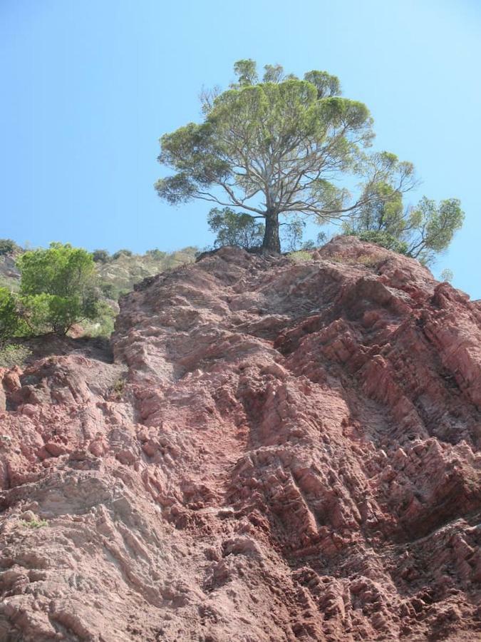 Tavernetta 109 Terrazza Tra Le 5 Terre E Portofino دييفا مارينا المظهر الخارجي الصورة