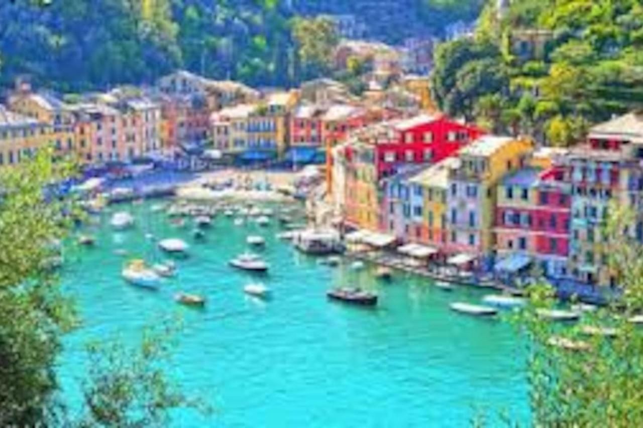 Tavernetta 109 Terrazza Tra Le 5 Terre E Portofino دييفا مارينا المظهر الخارجي الصورة