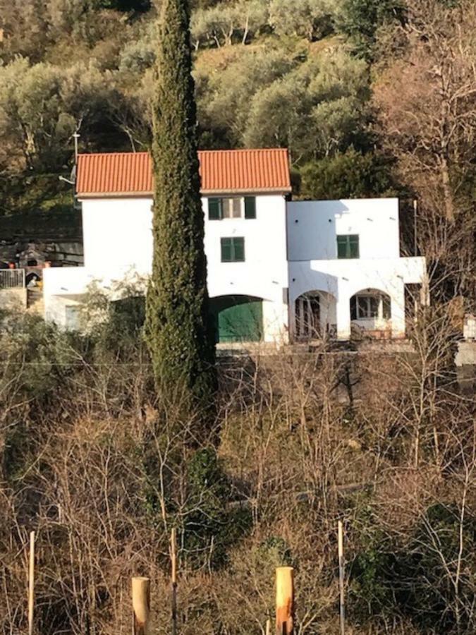 Tavernetta 109 Terrazza Tra Le 5 Terre E Portofino دييفا مارينا المظهر الخارجي الصورة